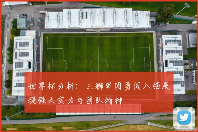 世界杯分析：三狮军团勇闯八强展现强大实力与团队精神